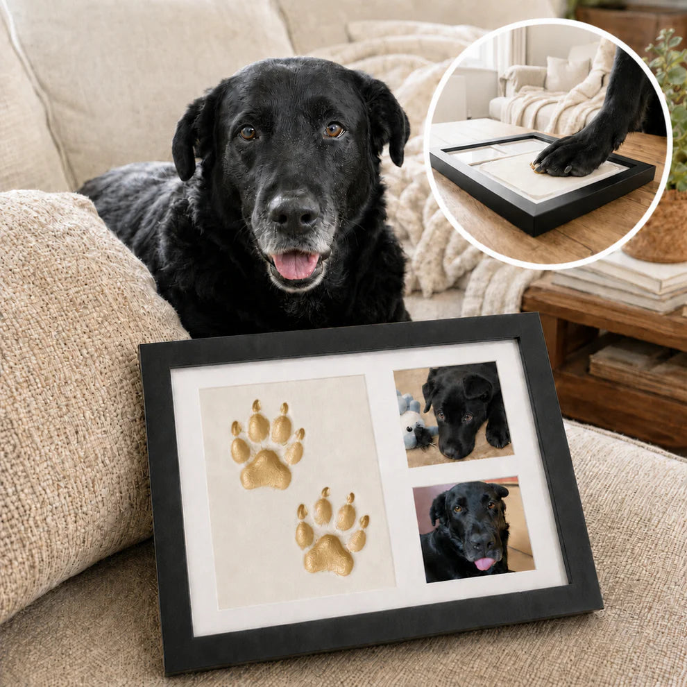 Paw Pallete Clay Kit