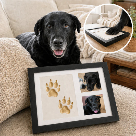 Paw Pallete Clay Kit