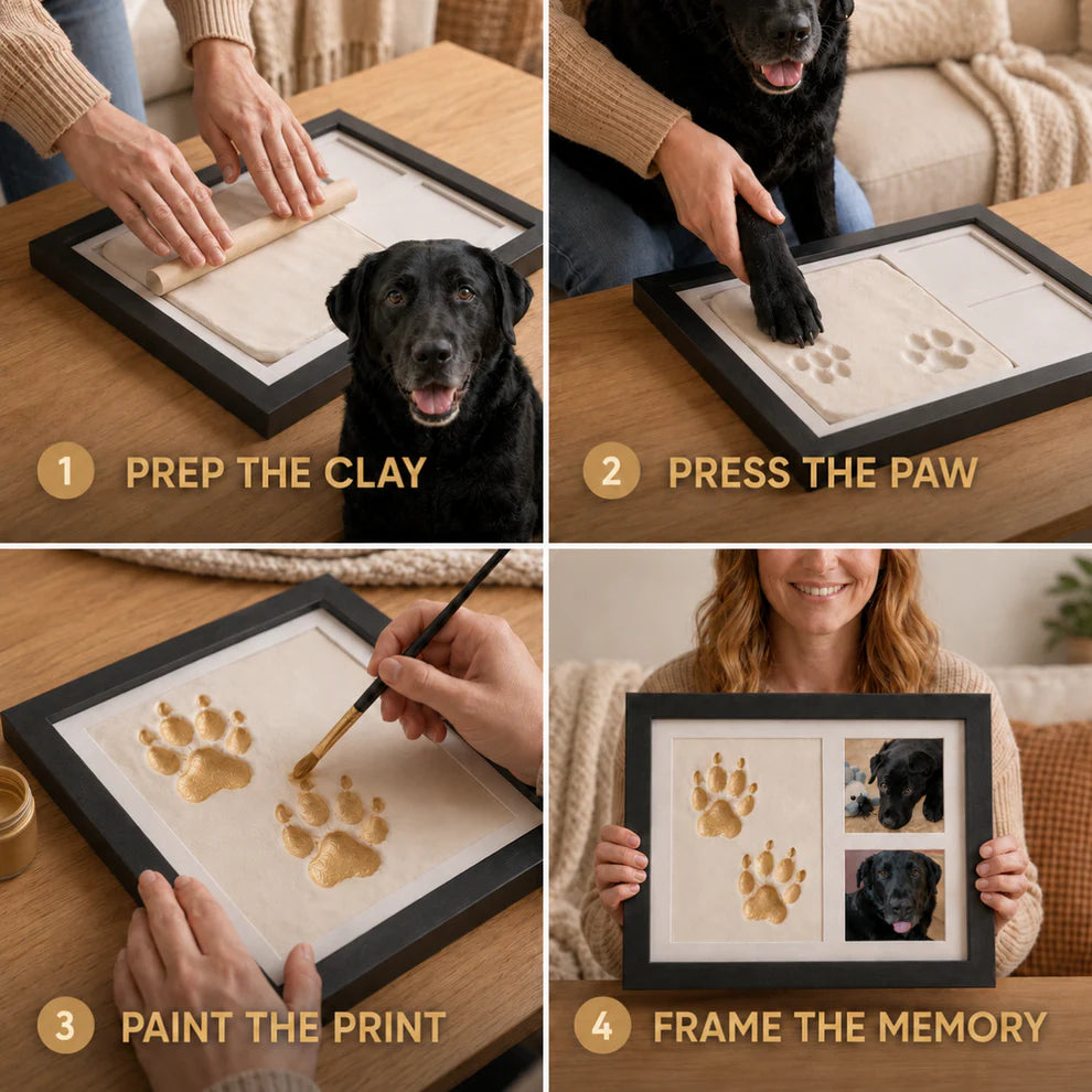 Paw Pallete Clay Kit